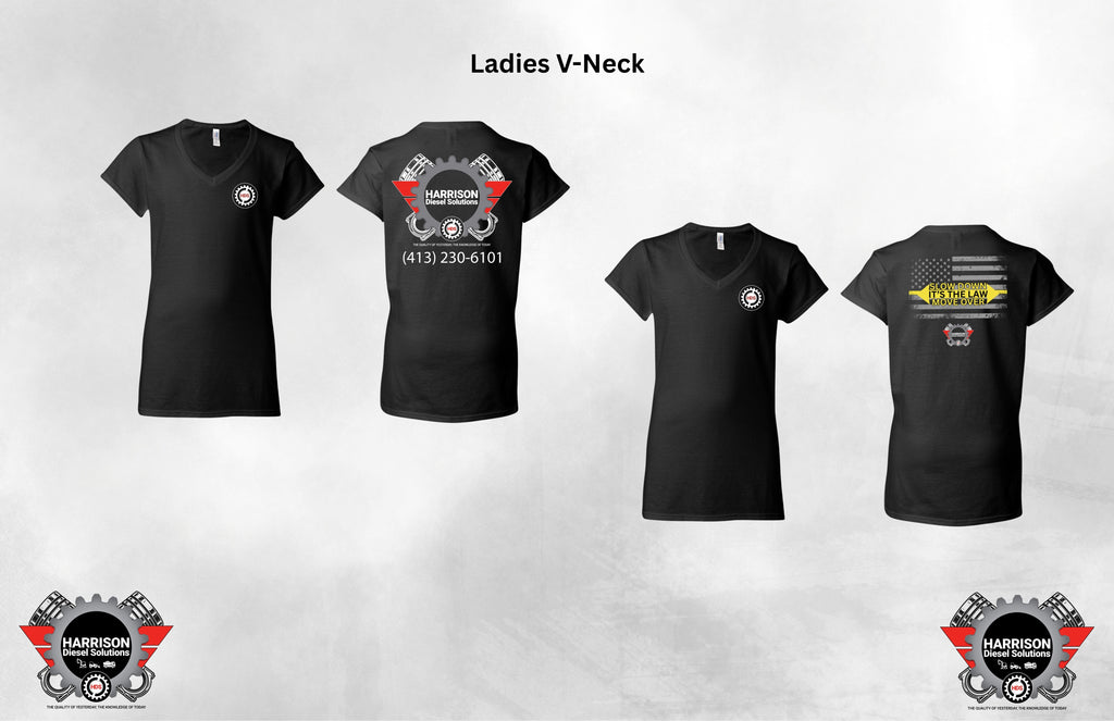 Women's Softstyle V-Neck T-Shirt