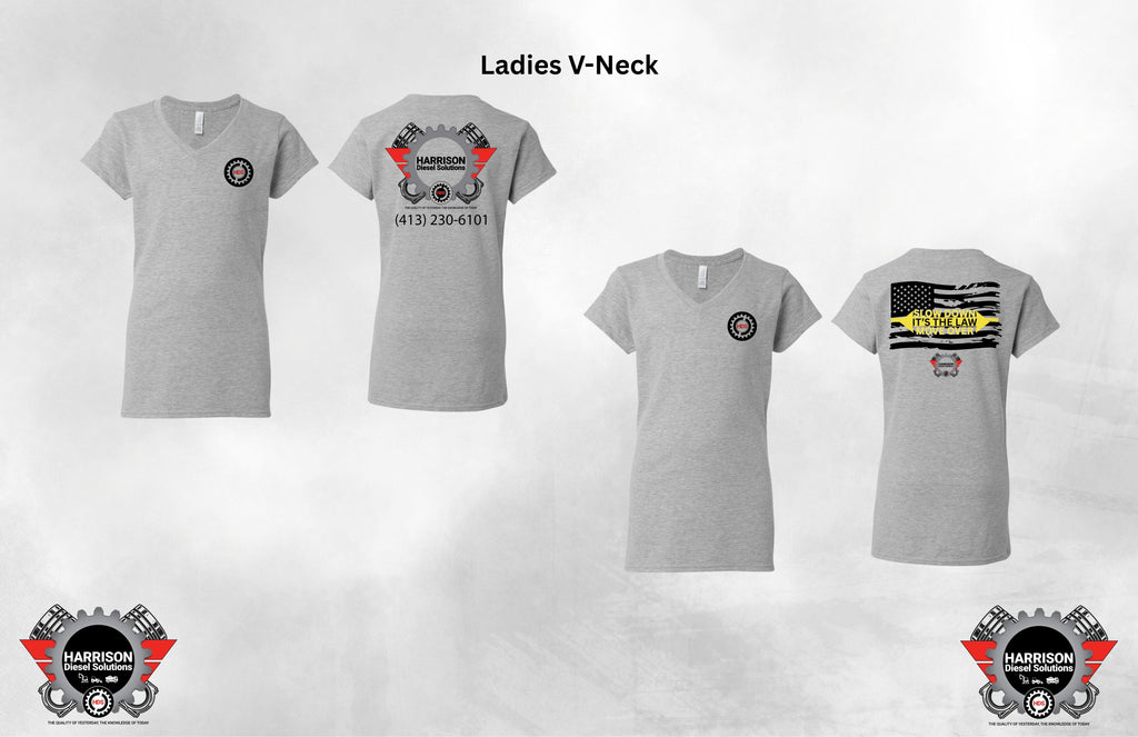 Women's Softstyle V-Neck T-Shirt