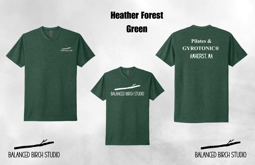 Adult Short Sleeve T-Shirt