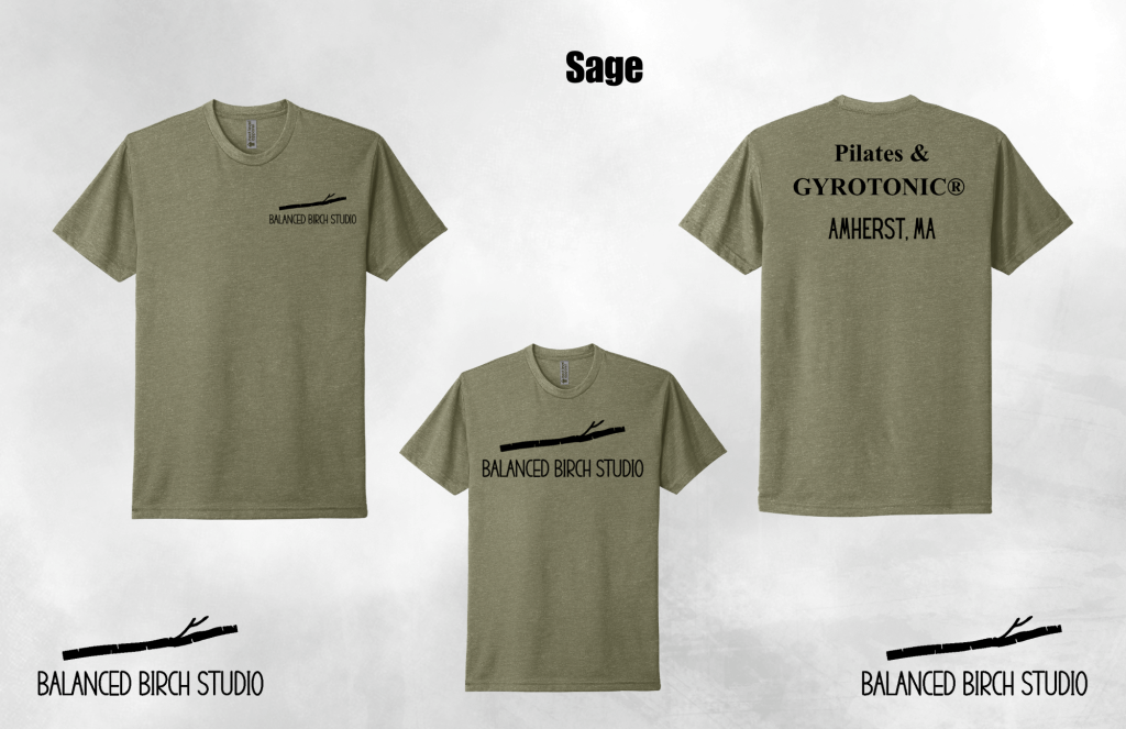 Adult Short Sleeve T-Shirt