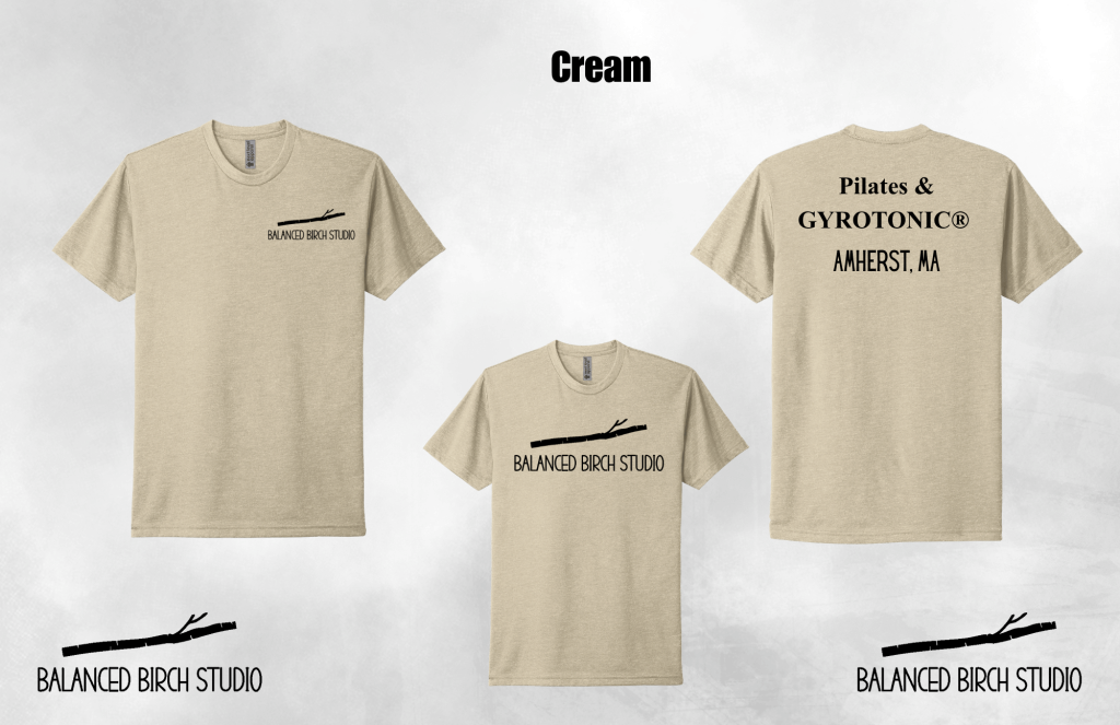 Adult Short Sleeve T-Shirt