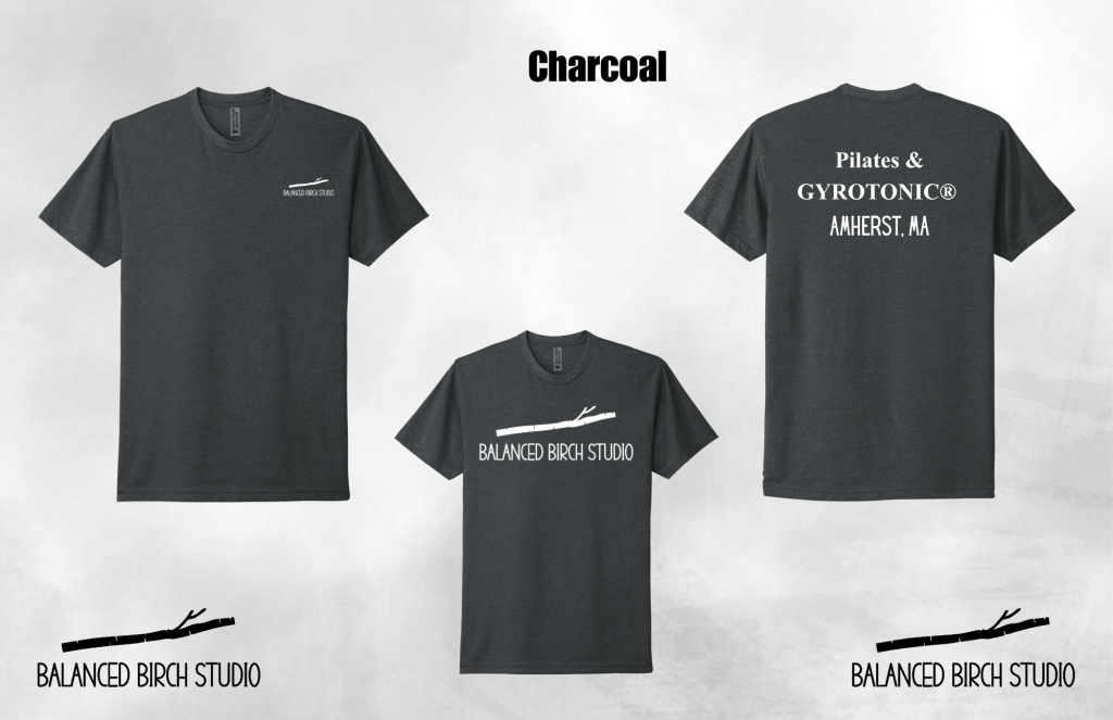 Adult Short Sleeve T-Shirt